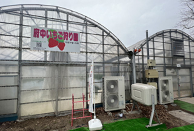 府中いちご狩り園 様